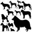 Dogs silhouette collection
