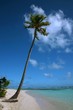 PLAGE BOIS JOLAN GUADELOUPE PLAGE BOIS JOLAN GUADELOUPE