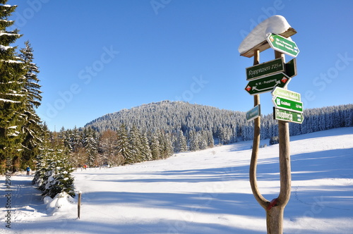 Foto: Winter im Thüringer Wald Winter im Thüringer Wald