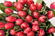 Tulpenstrauß