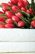 Tulpen im Bad