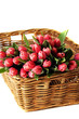 Tulpen im Weidenkörbchen