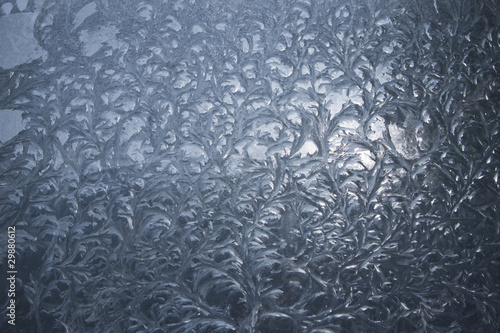 Photo: ice pattern ice pattern