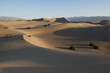Mesquite Dunes ,Death Valley,United States of America