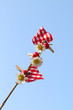 Glückssymbole