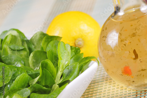 Foto: Feldsalat Feldsalat