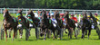 course hippique attelée
