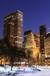 New York City Manhattan Central Park panorama in winter