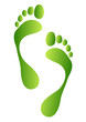 Vector: green footprints green footprints