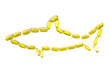 Omega 3 capsules