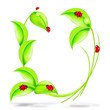 grasU