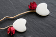 Branches coeurs