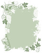 Wein, Ranke, Weinblätter, Weintrauben, background Wein, Ranke, Weinblätter, Weintrauben, background
