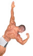The Perfect  Muscular male