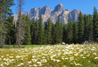 Photo: Kanadische Rocky Mountains Kanadische Rocky Mountains
