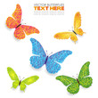Green yellow blue orange butterflies isolated on white hand draw Green yellow blue orange butterflies isolated on white hand draw
