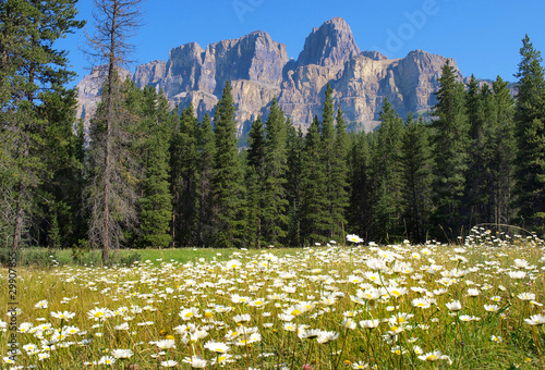 Photo: Kanadische Rocky Mountains Kanadische Rocky Mountains
