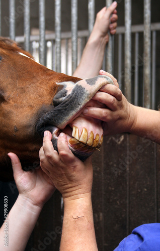 Foto: Zahnbehandlung Zahnbehandlung