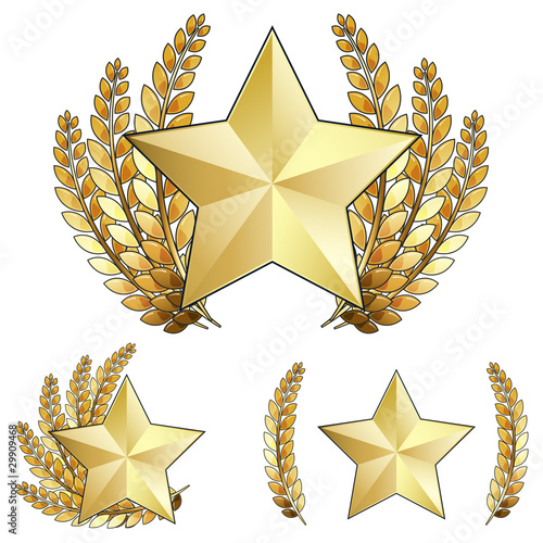 gold star award. Gold Star Award with Laurel