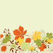 Autumn leaves background Autumn leaves background