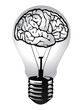 Vektor: brain light bulb vector brain light bulb vector