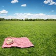 Outdoor picnic
