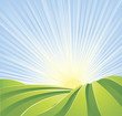 Idyllic green fields with sunshine rays and blue sky