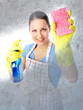 Photo: Housewife Housewife