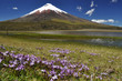 Vulcano Cotopaxi , Ecuador