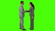 Businessman and a businesswoman having a meeting
