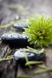 Stones with water drops