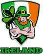 Irish leprechaun rugby player celtic shield Ireland