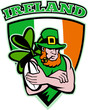 Irish leprechaun rugby player celtic shield Ireland