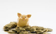 Sparschwein und Hartgeld
