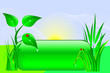 Eco design. Eco design.