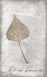Malerei mit Blatt