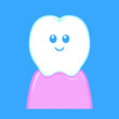 Teeth