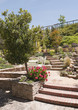 Patio steps in hillside garden