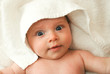 baby