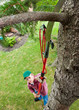 Cutting Tree Branch