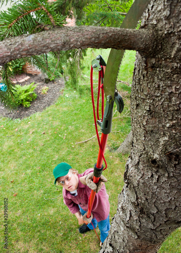 Photo: Cutting Tree Branch Cutting Tree Branch