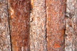Holzwand