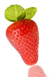 Fresa