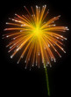 Photo: Festive orange fireworks at night Festive orange fireworks at night