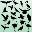 silhouette of birds 2 - vector
