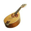 mandolin