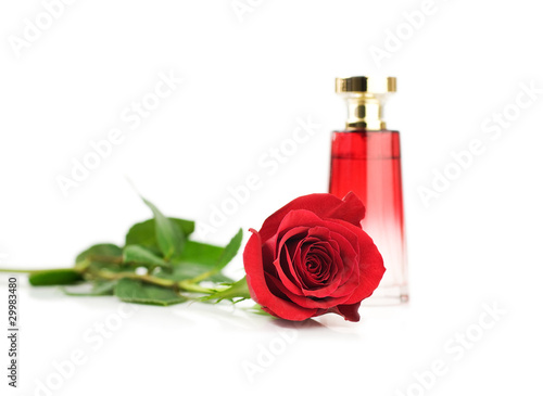 Photo: Rose perfume fragrance Rose perfume fragrance