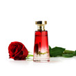Perfume and rose on white
