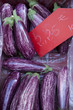 Eggplant or Aubergines