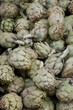 Artichokes for sale on market stalls